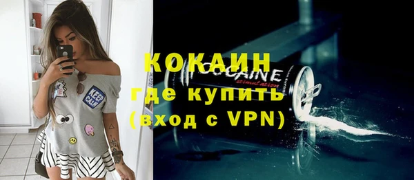 индика Богородск