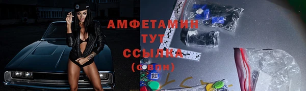 прущий лед Богданович