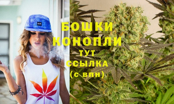 метадон Белокуриха