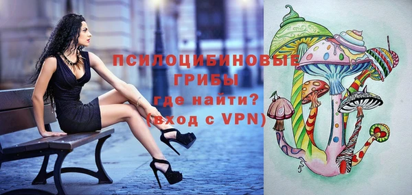 прущий лед Богданович