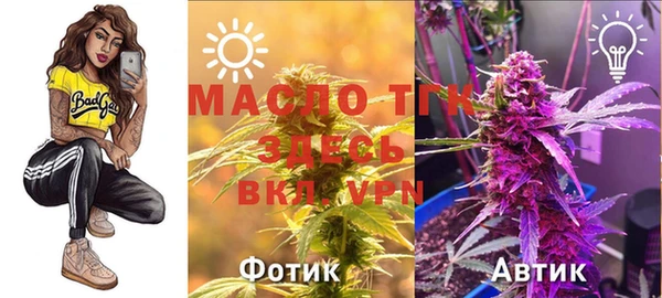 индика Богородск