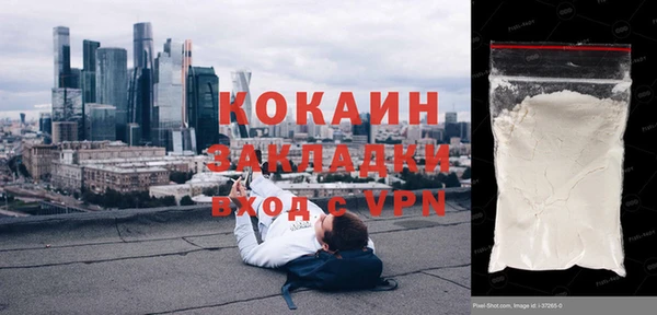 прущий лед Богданович