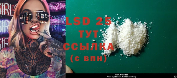 индика Богородск