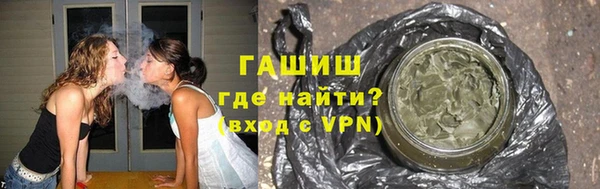индика Богородск