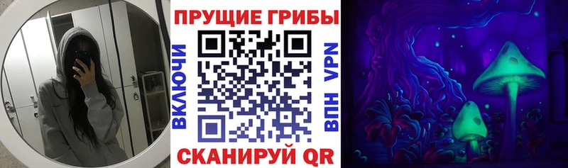 Псилоцибиновые грибы Cubensis  маркетплейс наркотические препараты  Бокситогорск 